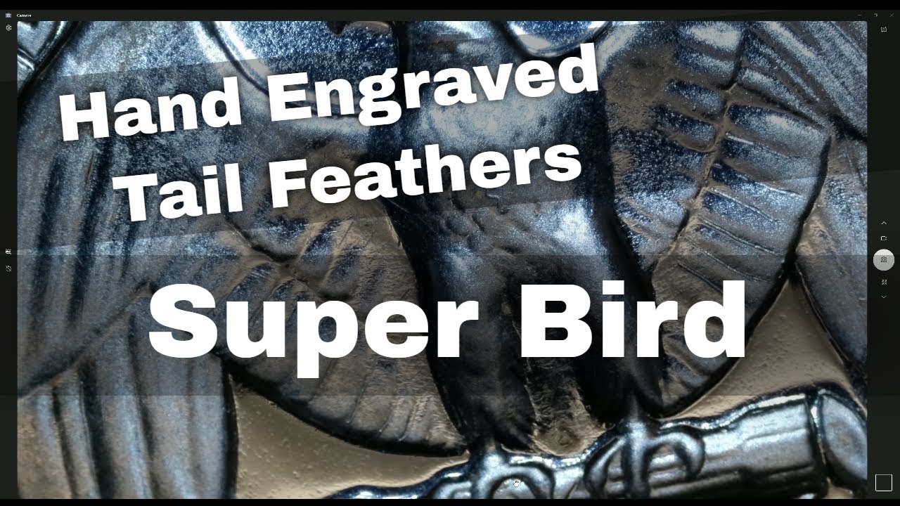 Valuable Quarters With Reengraved Tail Feathers - Super Bird 1952 1953 1954