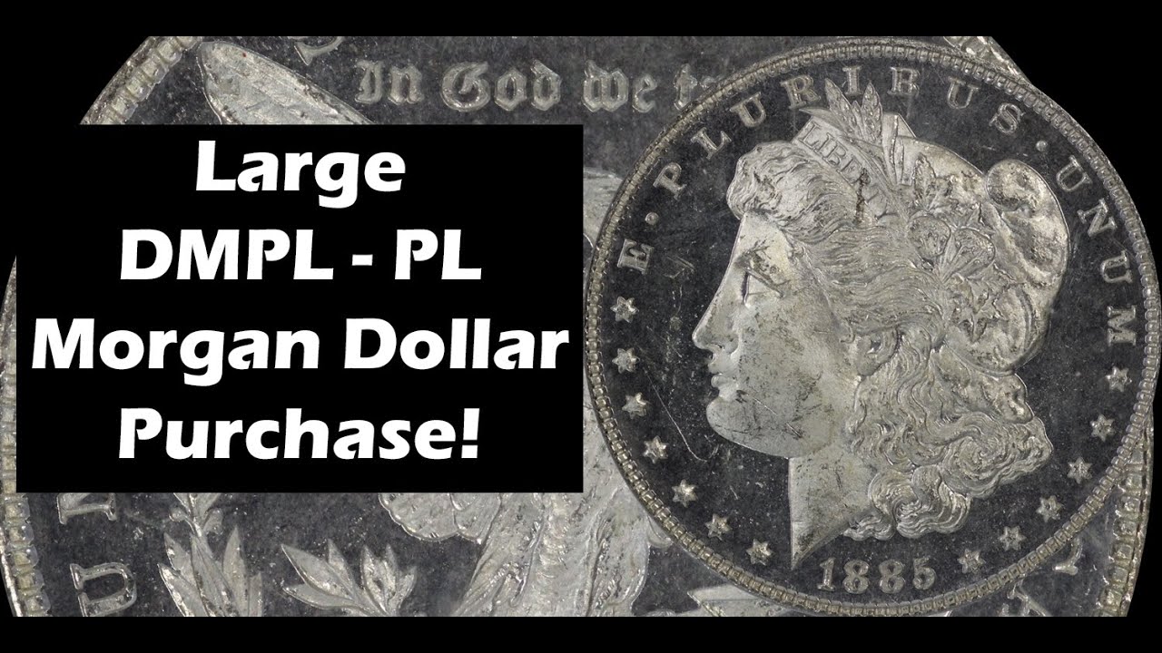 My Largest DMPL Morgan Dollar Purchase! Knock Your Eyes Out Coins!