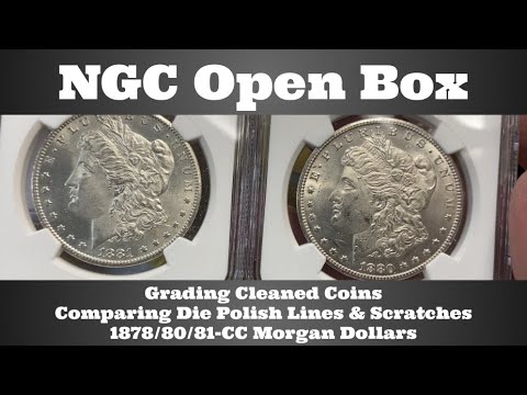 NGC Open Box - Grading Cleaned Coins, Comparing Die Polish Lines & Scratches, 1878/80/81-CC Morgans