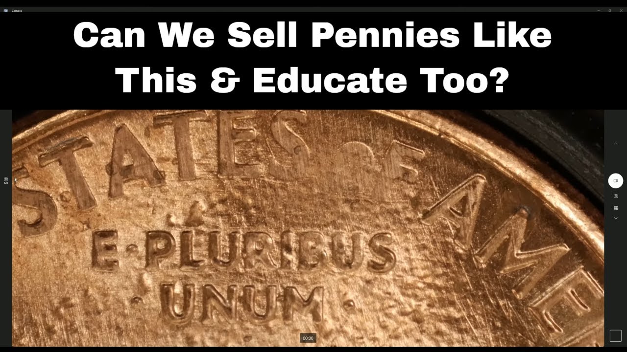 Pennies Like These Can Make Money & Educate Coin Collectors