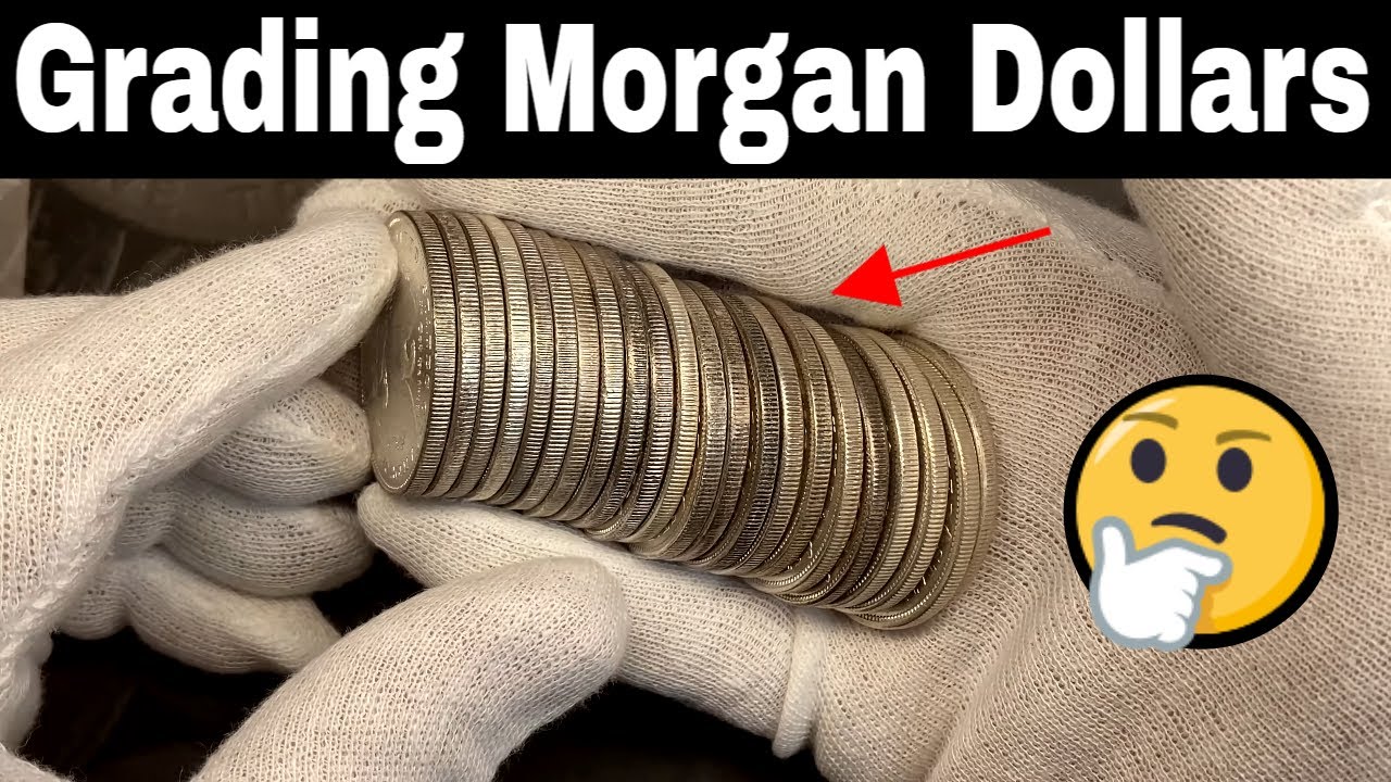 Grading a Roll of Morgan Silver Dollars - Searching for RARE VAMs too