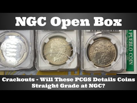 NGC Open Box - Crackouts - Will These PCGS 'Details' Morgan Dollars Straight Grade at NGC?