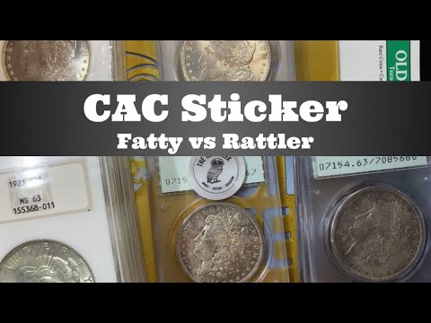 CAC Sticker Open Box - NGC Fatty Holder & PCGS "Rattler" Old Green Holder