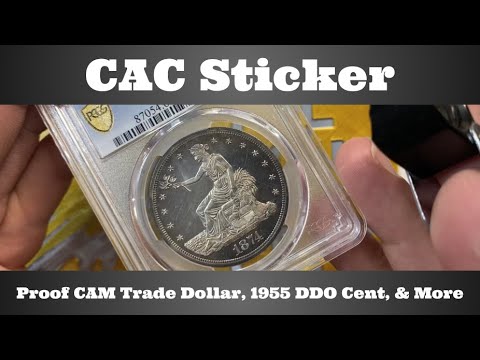 CAC Sticker Open Box -Proof CAM Trade Dollar, 1955 DDO Lincoln Cent, & More