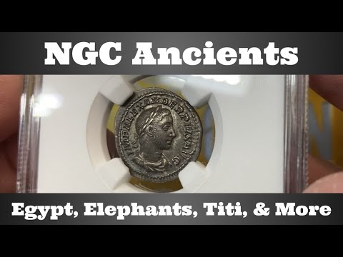 NGC Ancients - Egypt, Elephants, Titi, & More