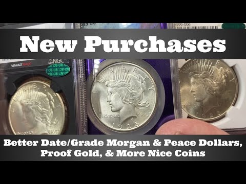 New Purchases - Better Date/Grade Morgan & Peace Dollars, Proof Gold, & More Nice Coins